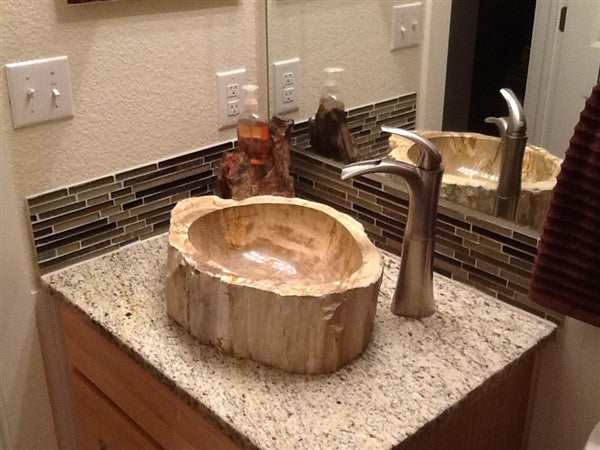 Petrified Wood Sink