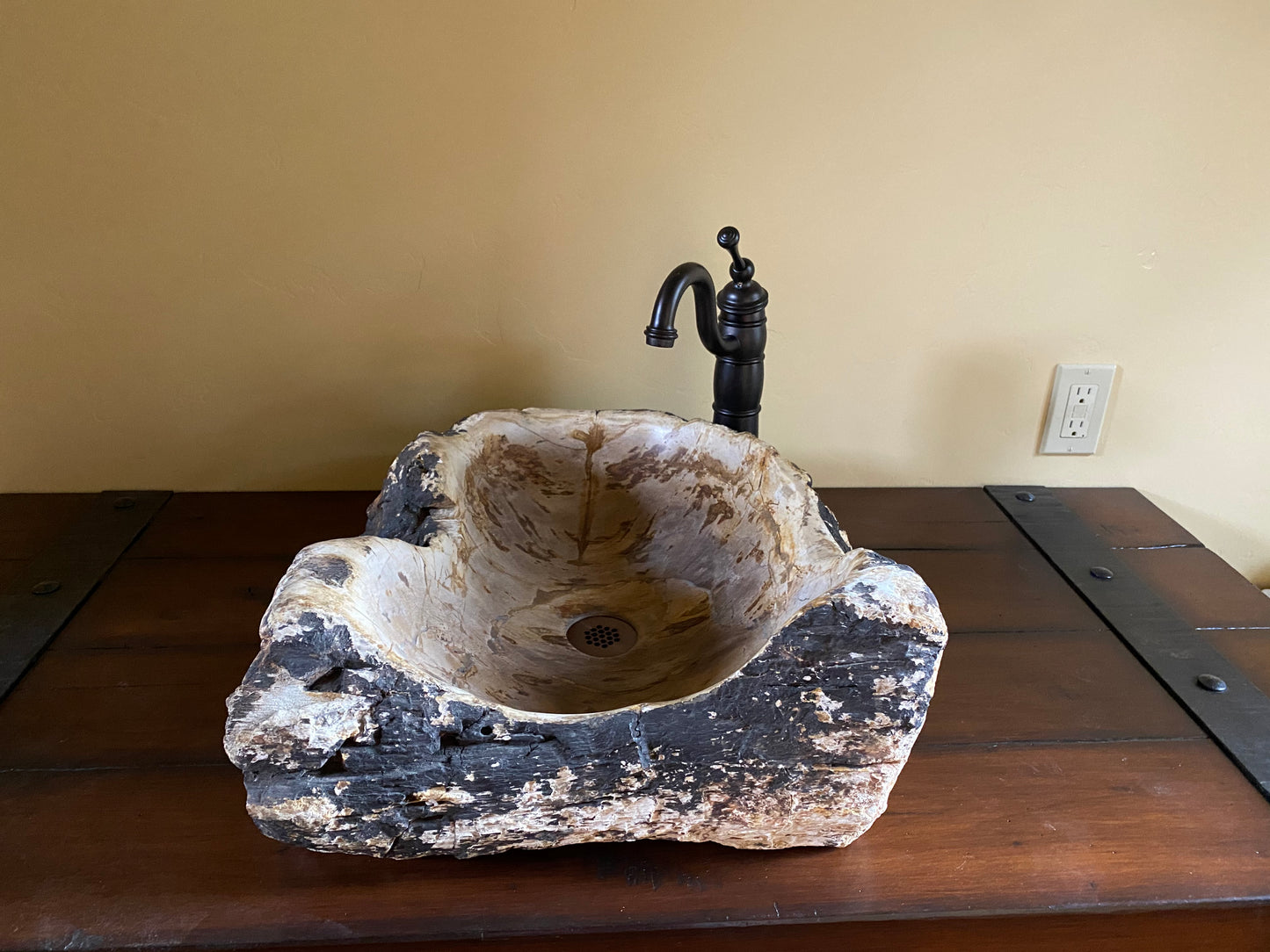 Petrified Wood Sink