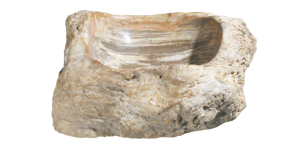 Petrified Wood Sink-20-25" Group