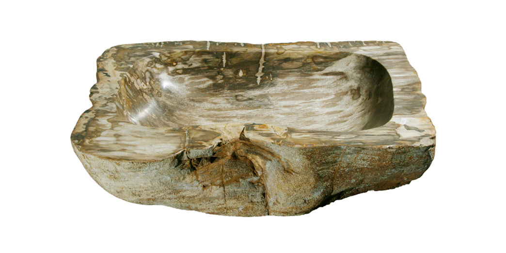 Petrified Wood Sink-20-25" Group