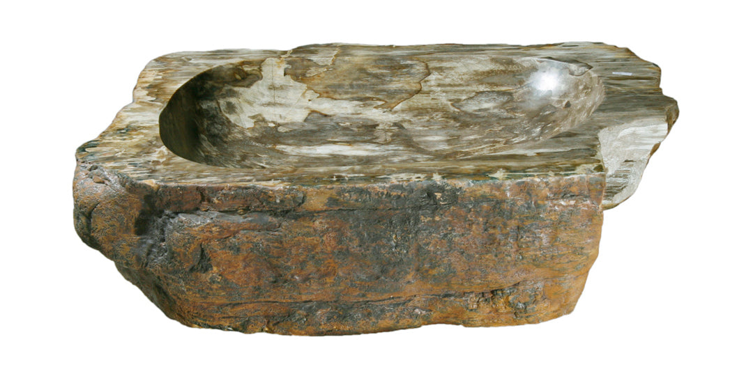 Petrified Wood Sink-20-25" Group