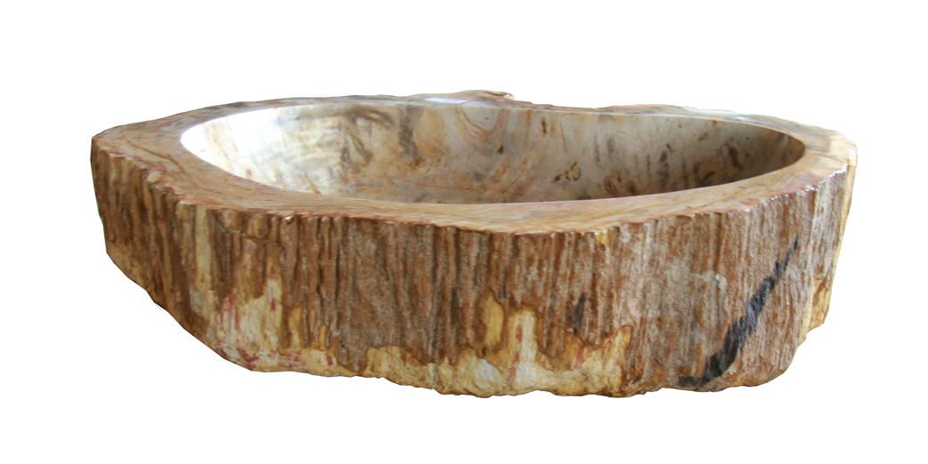 Petrified Wood Sink-20-25" Group