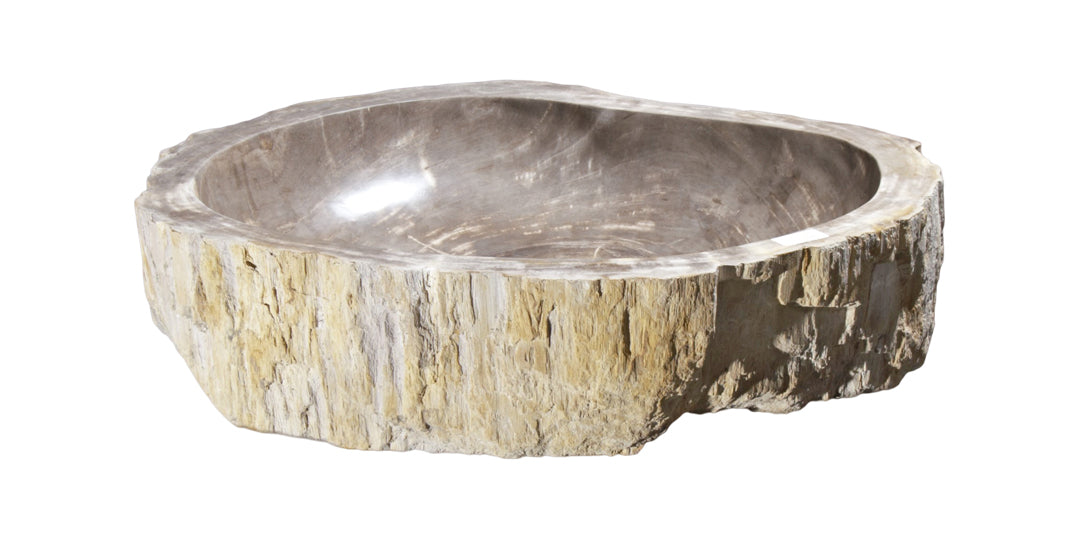 Petrified Wood Sink-25"-30" Group