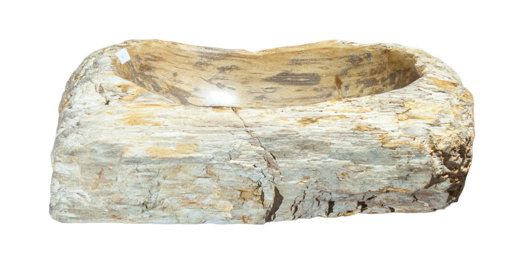 Petrified Wood Sink-20-25" Group