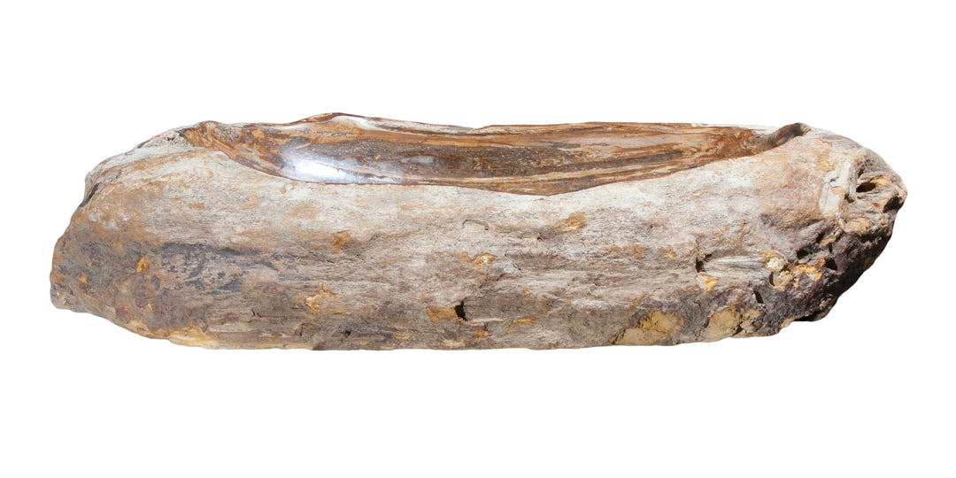 Petrified Wood Sink-25"-30" Group