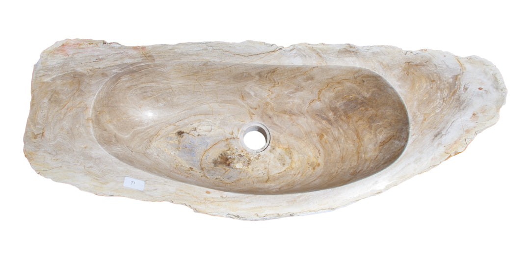 Petrified Wood Sink-30"-36" Group