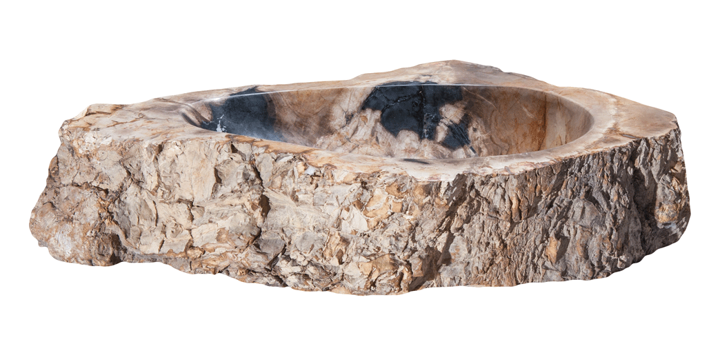 Petrified Wood Sink-20-25" Group