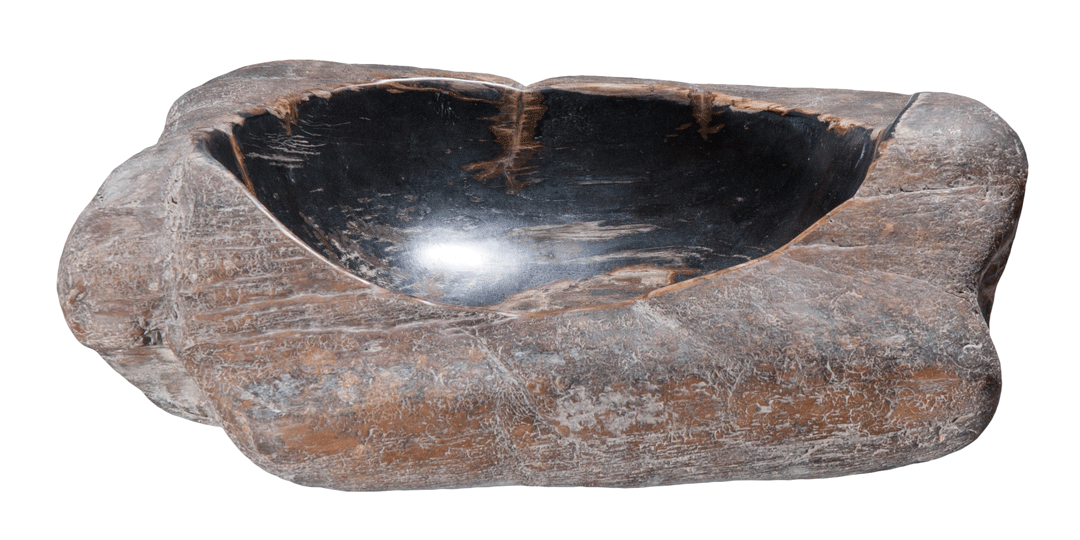 Petrified Wood Sink-17-20" Group