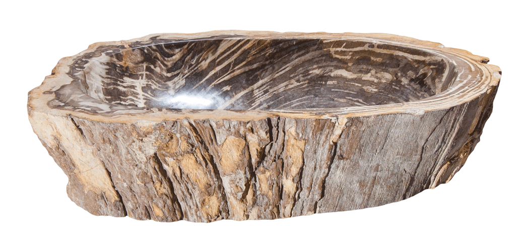 Petrified Wood Sink-20-25" Group