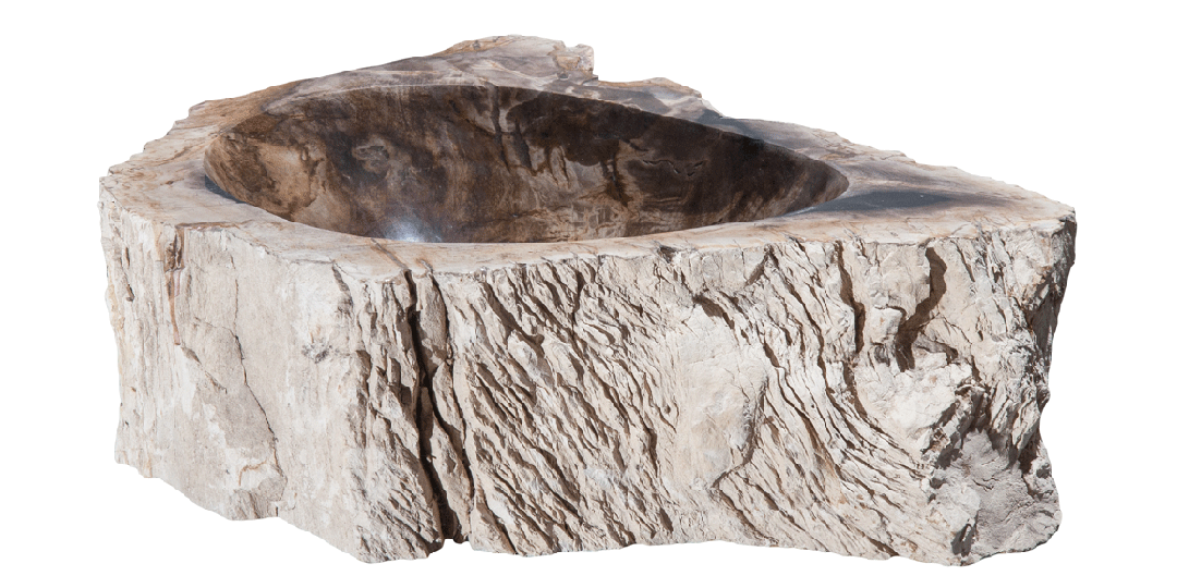 Petrified Wood Sink-17-20" Group