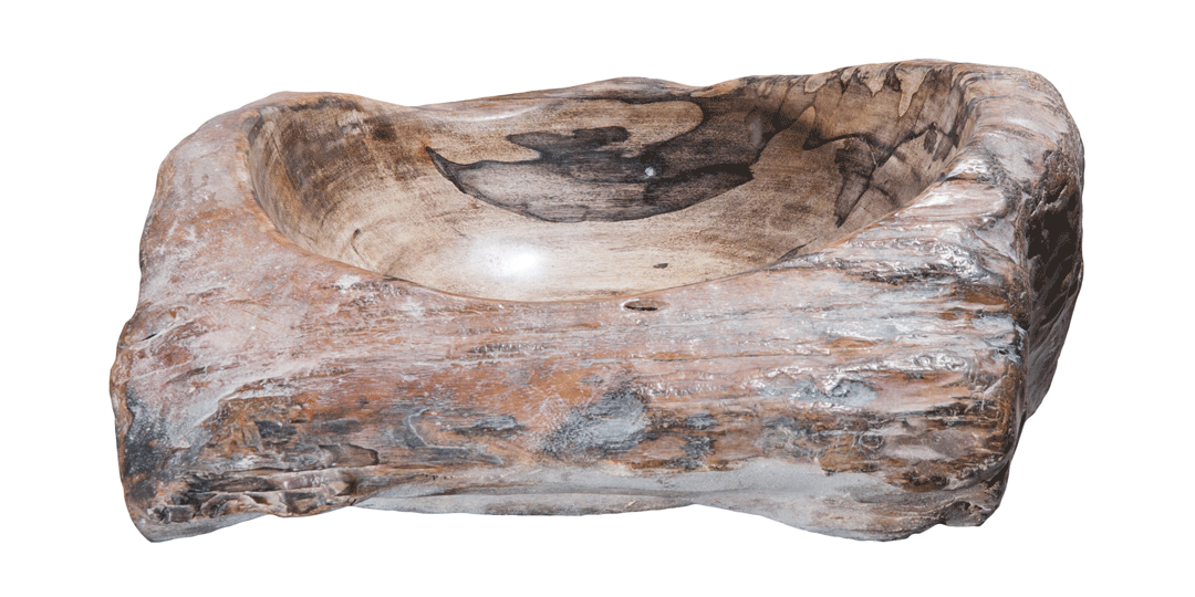 Petrified Wood Sink-17-20" Group