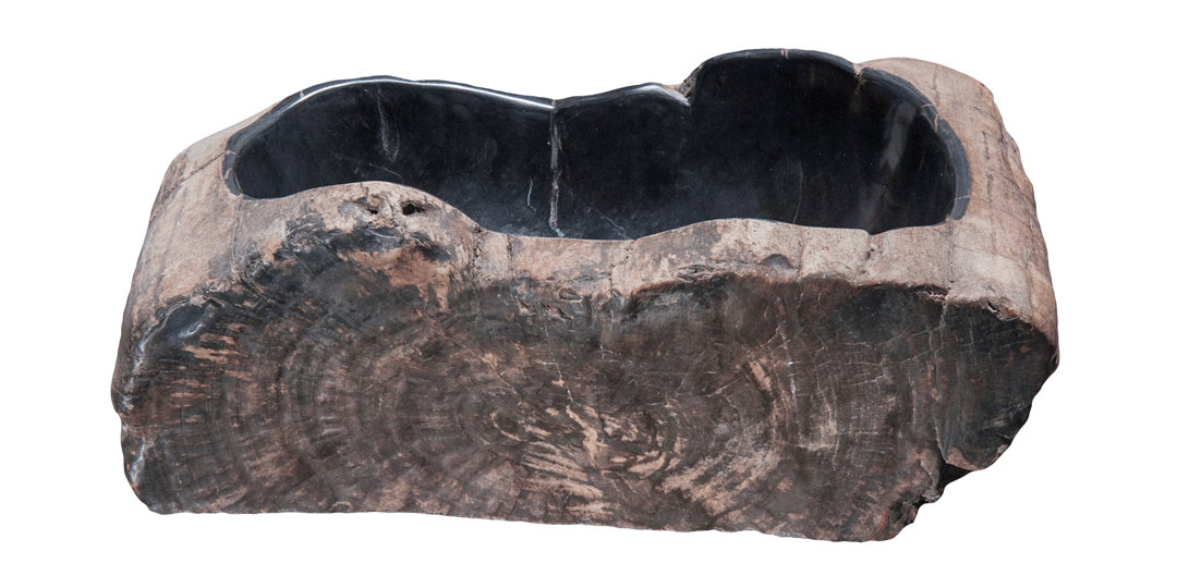 Petrified Wood Sink-17-20" Group