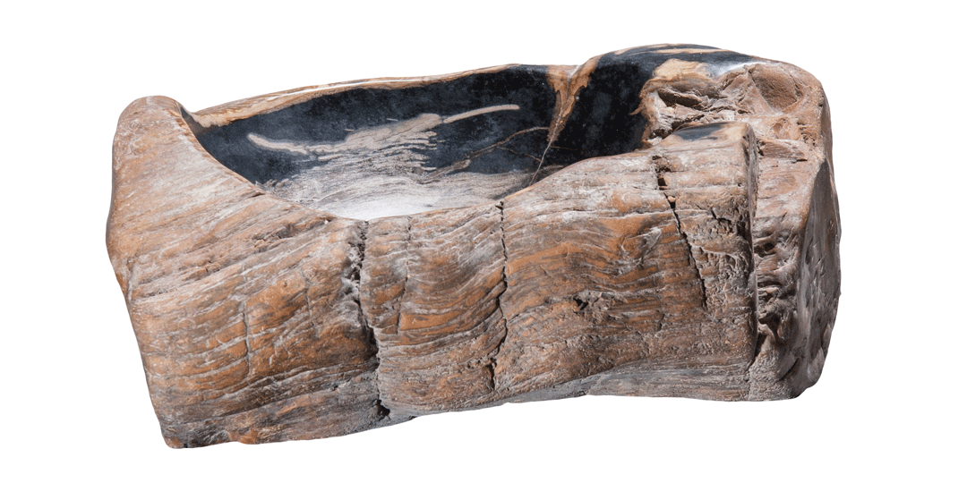 Petrified Wood Sink-17-20" Group