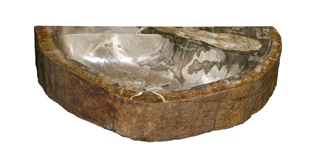 Petrified Wood Sink-20-25" Group