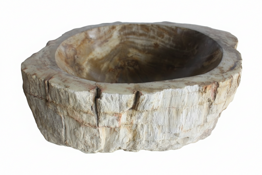 Petrified Wood Sink - Fossilized Natural Stone Vessel Sink