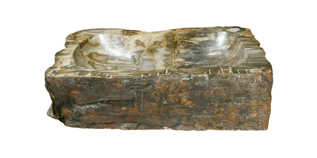 Petrified Wood Sink-20-25" Group