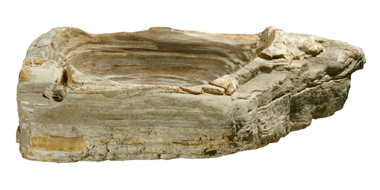 Petrified Wood Sink-25"-30" Group