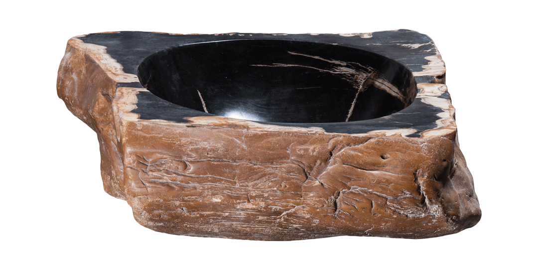 Petrified Wood Sink-17-20" Group